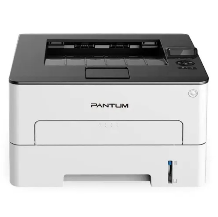 Impresora Pantum P3010DW